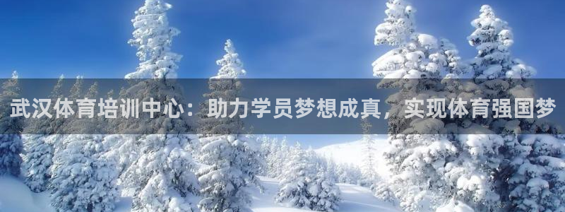 MK体育官方正版app官方:武汉体育培训中心:助力学员梦想成