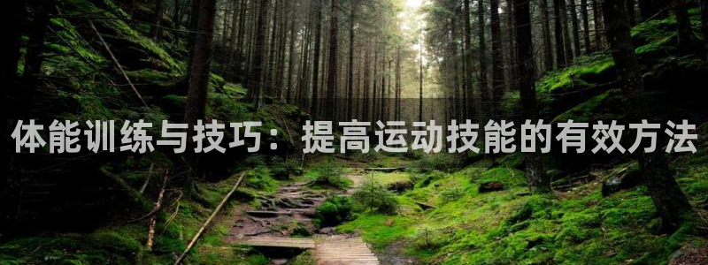 MK体育官方正版app娱乐下载:体能训练与技巧:提高运动技能